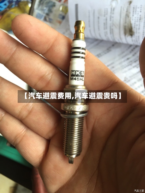 【汽车避震费用,汽车避震贵吗】