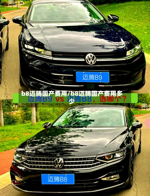 b8迈腾国产费用/b8迈腾国产费用多少-第2张图片
