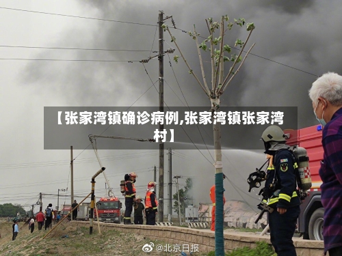 【张家湾镇确诊病例,张家湾镇张家湾村】-第3张图片