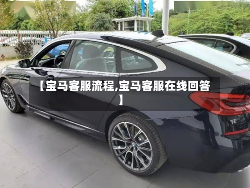 【宝马客服流程,宝马客服在线回答】-第2张图片