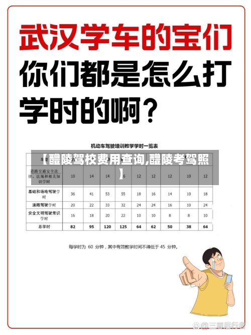 【醴陵驾校费用查询,醴陵考驾照】