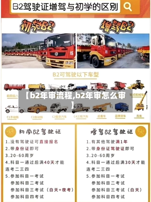 【b2年审流程,b2年审怎么审】-第2张图片