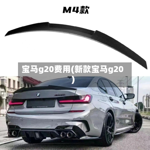 宝马g20费用(新款宝马g20)-第2张图片