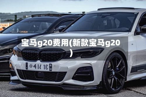宝马g20费用(新款宝马g20)