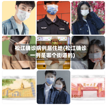 松江确诊病例居住地(松江确诊一例是哪个街道的)