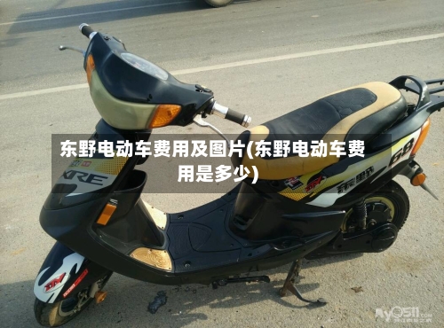 东野电动车费用及图片(东野电动车费用是多少)