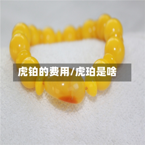 虎铂的费用/虎珀是啥