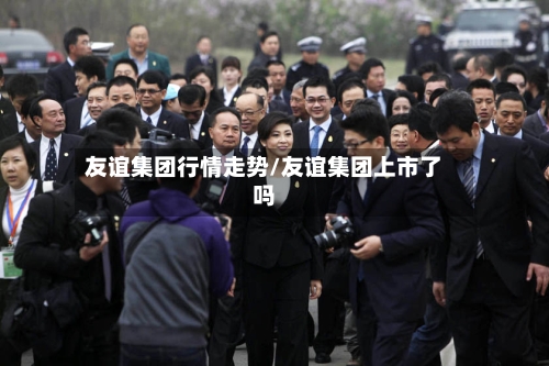 友谊集团行情走势/友谊集团上市了吗