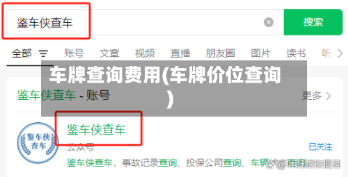 车牌查询费用(车牌价位查询)