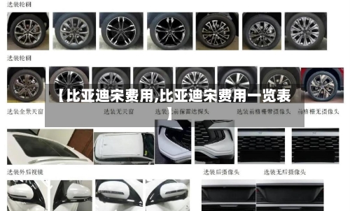 【比亚迪宋费用,比亚迪宋费用一览表】-第2张图片