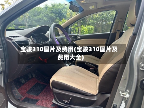 宝骏310图片及费用(宝骏310图片及费用大全)-第2张图片