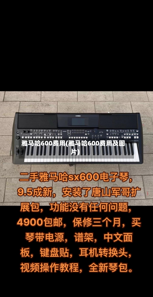 雅马哈600费用(雅马哈600费用及图片)-第2张图片
