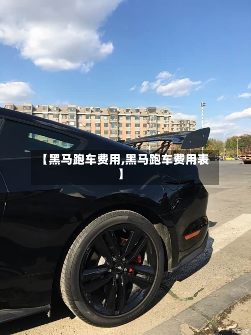 【黑马跑车费用,黑马跑车费用表】-第2张图片