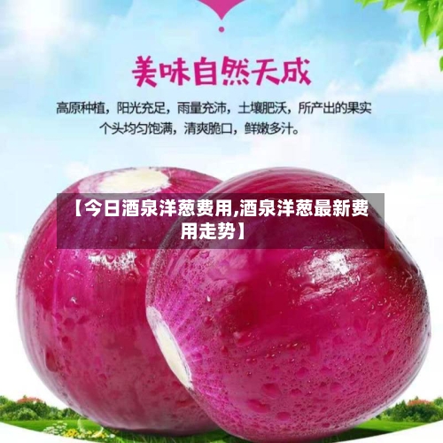 【今日酒泉洋葱费用,酒泉洋葱最新费用走势】-第3张图片