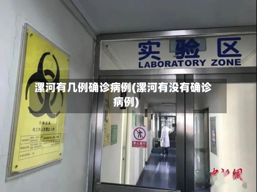 漯河有几例确诊病例(漯河有没有确诊病例)
