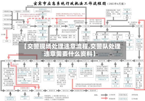 【交警现场处理违章流程,交警队处理违章需要什么资料】-第2张图片
