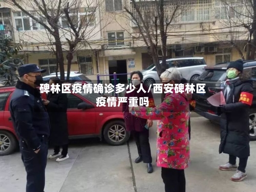 碑林区疫情确诊多少人/西安碑林区疫情严重吗-第2张图片