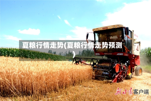 夏粮行情走势(夏粮行情走势预测)-第3张图片