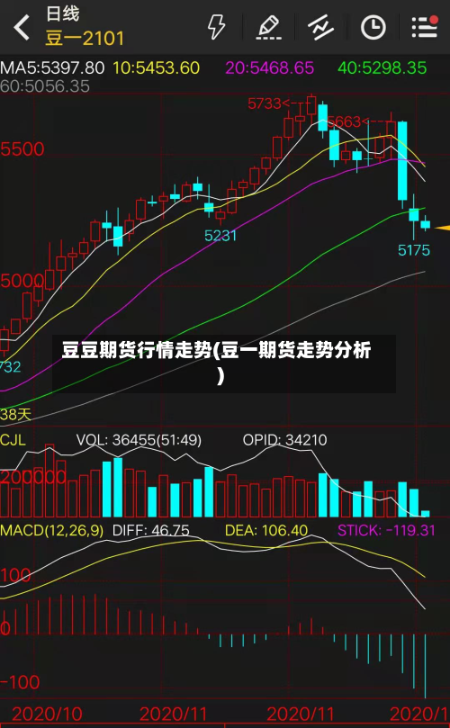 豆豆期货行情走势(豆一期货走势分析)