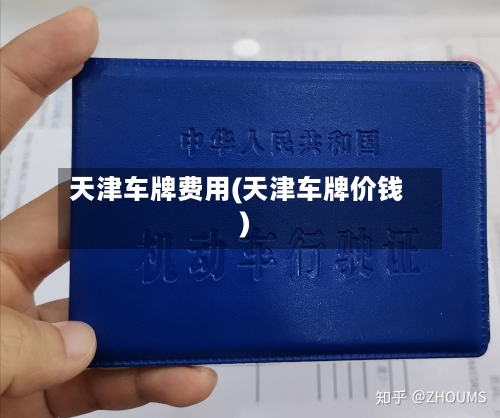 天津车牌费用(天津车牌价钱)