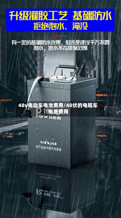 48v电动车电池费用/48伏的电瓶车电池费用