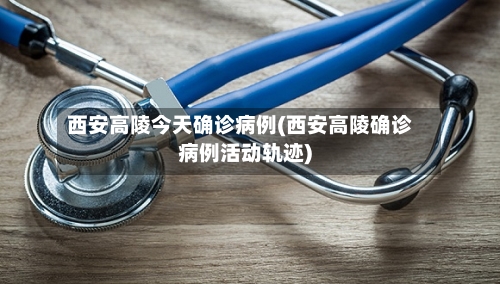西安高陵今天确诊病例(西安高陵确诊病例活动轨迹)-第2张图片