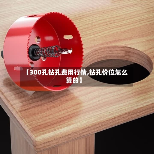 【300孔钻孔费用行情,钻孔价位怎么算的】
