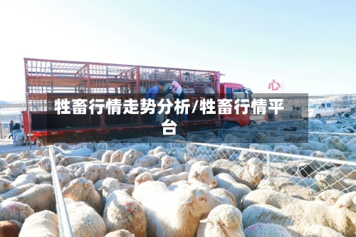 牲畜行情走势分析/牲畜行情平台