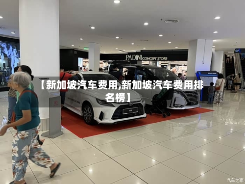 【新加坡汽车费用,新加坡汽车费用排名榜】-第2张图片