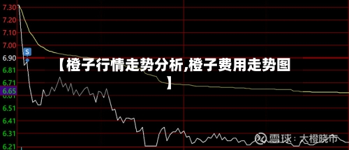 【橙子行情走势分析,橙子费用走势图】