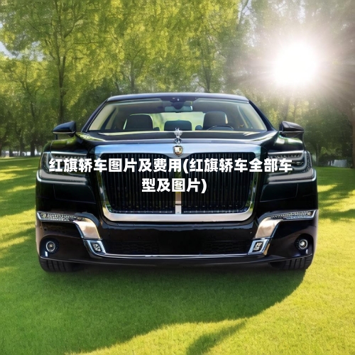 红旗轿车图片及费用(红旗轿车全部车型及图片)-第3张图片