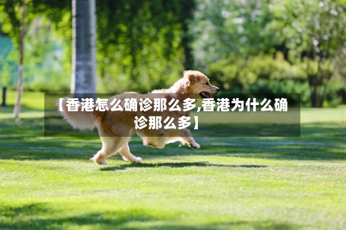 【香港怎么确诊那么多,香港为什么确诊那么多】-第2张图片