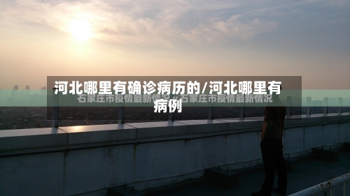 河北哪里有确诊病历的/河北哪里有病例