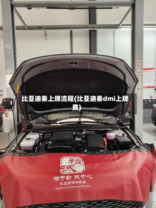 比亚迪秦上牌流程(比亚迪秦dmi上牌费)