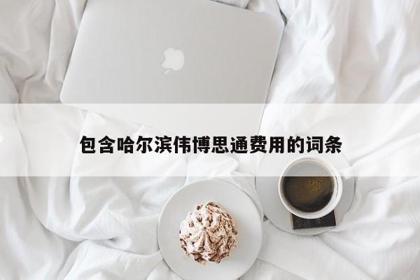 包含哈尔滨伟博思通费用的词条