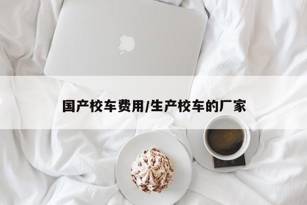 国产校车费用/生产校车的厂家