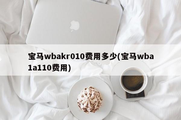 宝马wbakr010费用多少(宝马wba1a110费用)