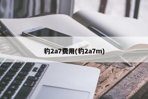 豹2a7费用(豹2a7m)